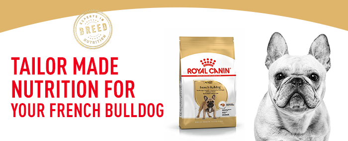 French bulldog food outlet royal canin