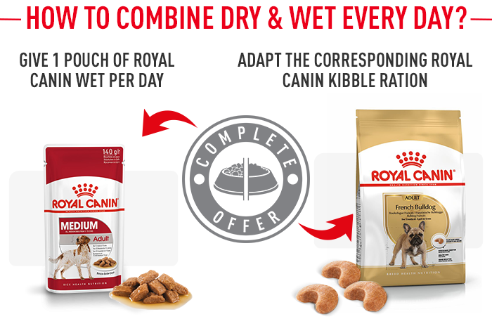 French bulldog food royal canin sale