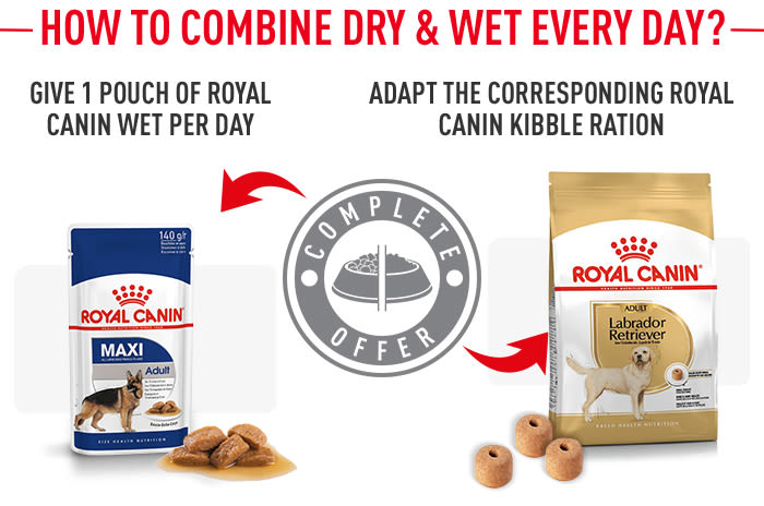 Royal canin labrador retriever adult dry dog outlet food