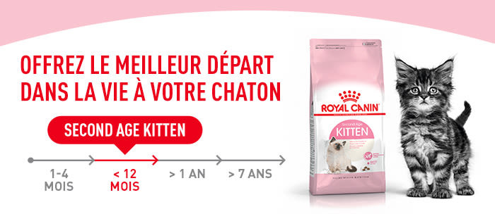 Royal Canin Kitten Pour Chaton Medicanimal Fr