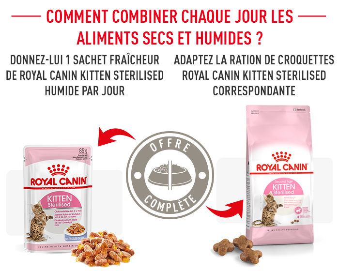 Royal Canin Kitten Sterilised Pour Chaton Medicanimal Fr