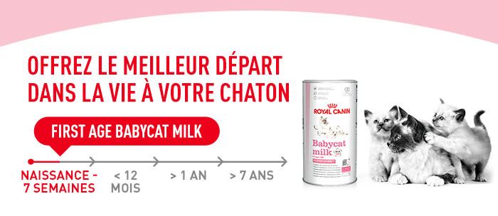 Royal Canin Baby Cat Milk Lait Chaton Petmeds Fr