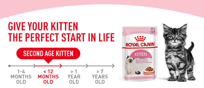 Royal Canin Kitten Feeding Chart