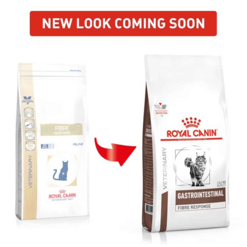 Royal canin gastrointestinal кошек. Роял Канин гастро Интестинал Файбер Респонс для кошек. Роял Канин гастро Интестинал Файбер для кошек. Роял Канин гастро Интестинал для кошек Fibre response. Роял Канин гастро Интестинал для кошек фибре респонсе.