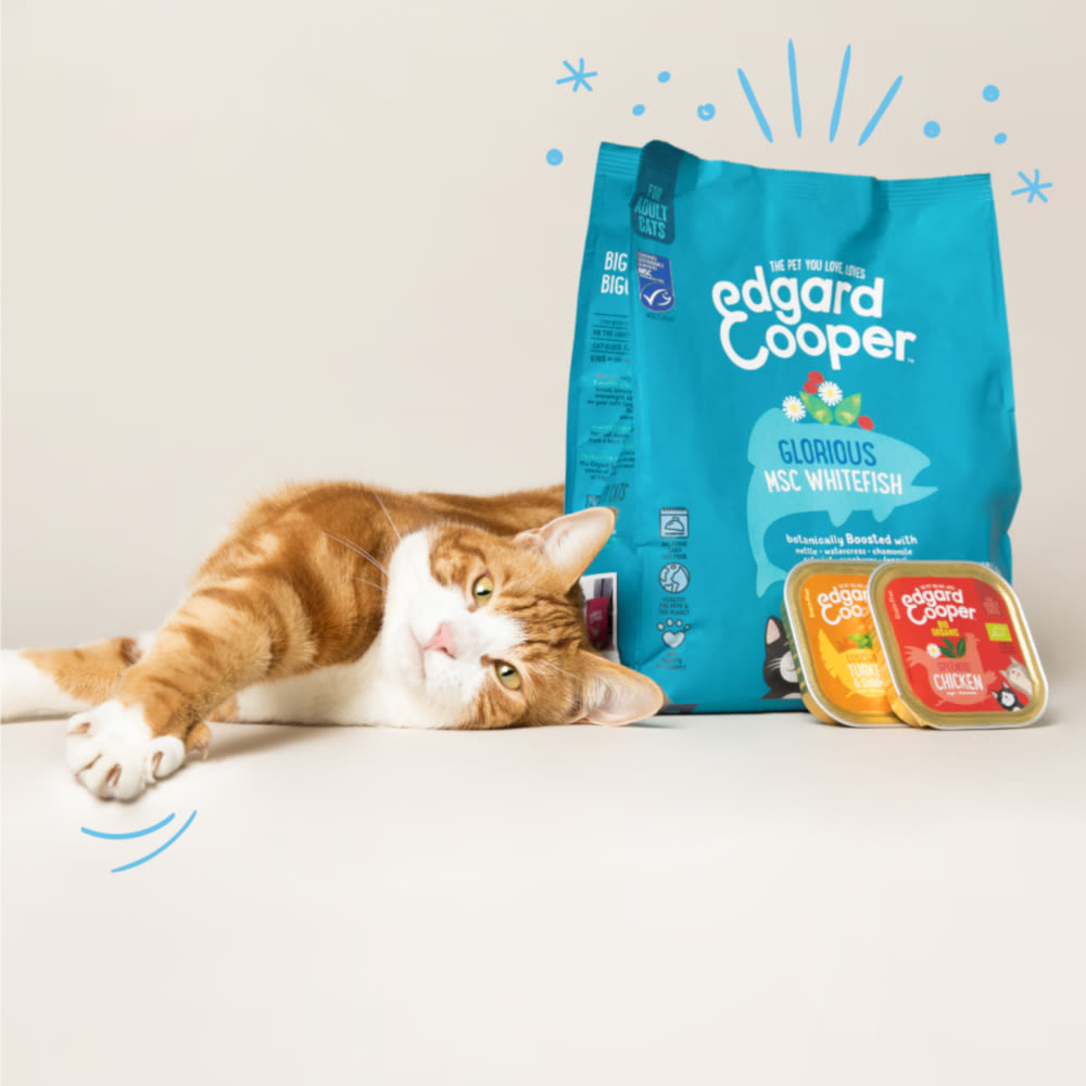 edgard cooper kitten food