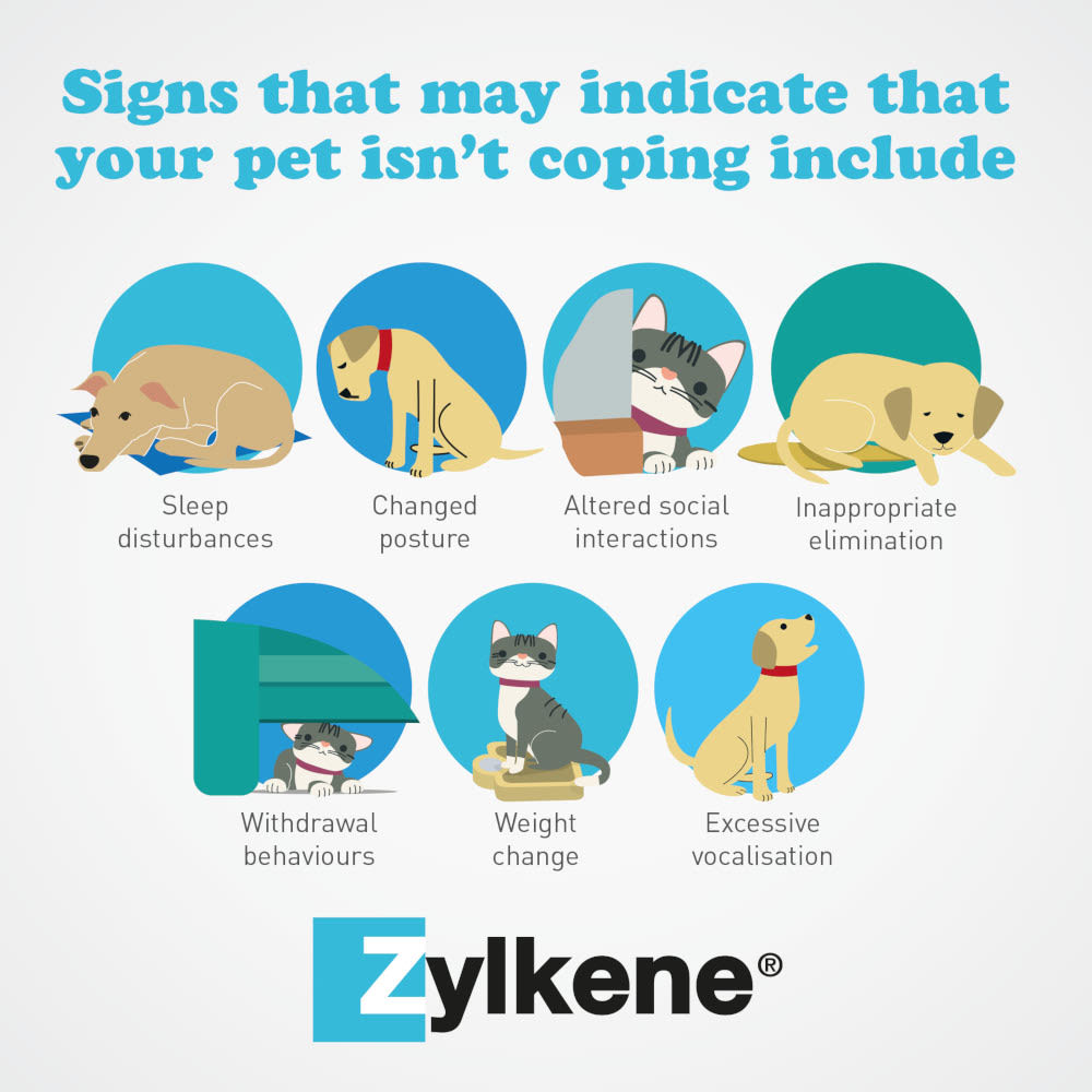 Zylkene for Dogs & Cats