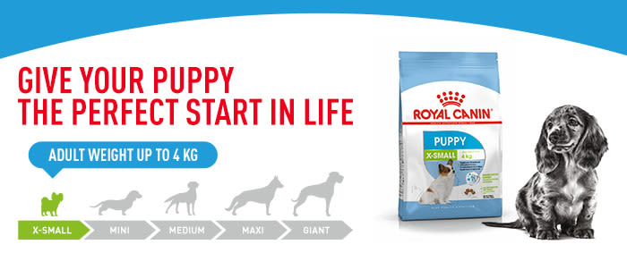 Royal canin puppy outlet small