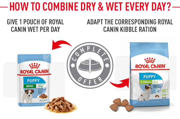 Royal canin clearance dry mini puppy