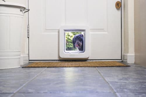 Sureflap hotsell pet door