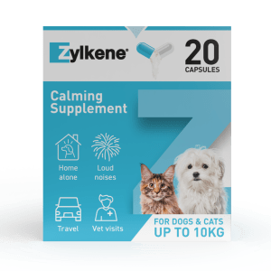 Zylkene for dogs side effects 2025