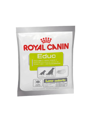 Canikur Pro Healthy Bacteria Paste for Dog