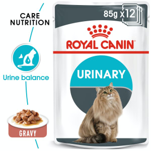 Zylkene Calming Supplement for Dog MedicAnimal