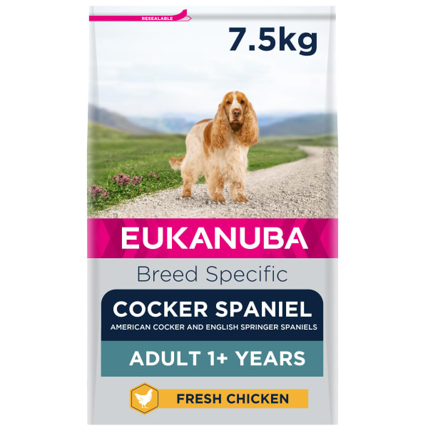 eukanuba spaniel