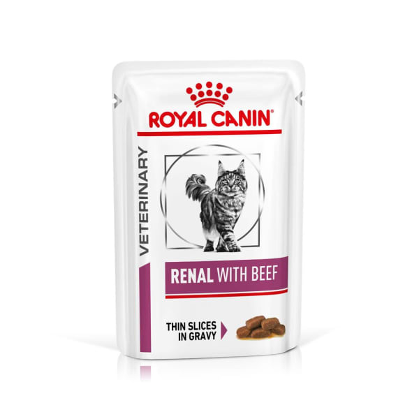 Best renal diet for cats 2025