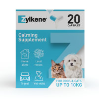 Zylkene Calmant Pour Chien Et Chat Medicanimal Fr