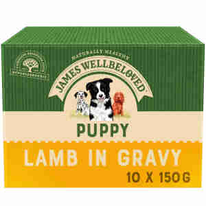 James Wellbelove Dinde & Riz pour chiots Sachets