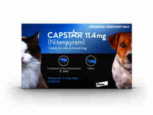 Capstar Flea Treatment Tablets for Cats and Small Dogs (1-11kg)