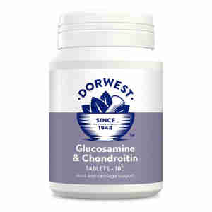 Dorwest Glucosamine en Chondroitin tabletten
