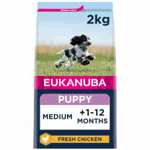 Eukanuba Hundefutter für Welpen Medium