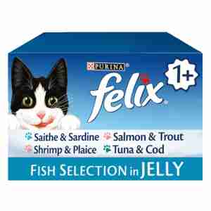 Felix Effilés en gelée - Chat Adulte
