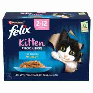 Felix As Good As It Looks - Kitten
