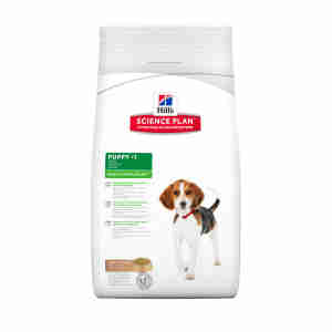 Hills Science Plan Puppy Hundefutter mit Lamm