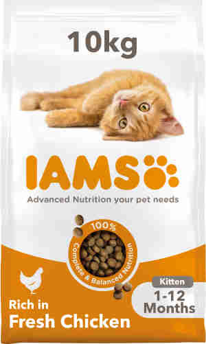 Iams Kitten & Junior Katzenfutter