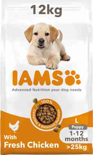IAMS Puppy & Junior Large Breed