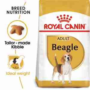Royal Canin Beagle Adulte