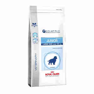 Royal Canin Pediatric Junior Large Dog Puppy Dry Food