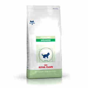 Royal Canin Pediatric (früher Kitten) Weaning Katzenfutter