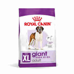 Royal Canin Giant Adult Hundefutter