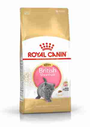 Royal Canin British Shorthair Kitten Dry Food