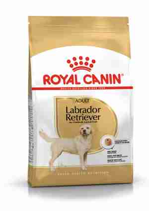 Royal Canin Labrador Retriever 30 Adulte