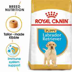 Royal Canin Labrador Retriever 33 JUNIOR