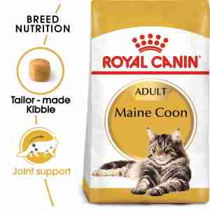Royal Canin Maine Coon 31