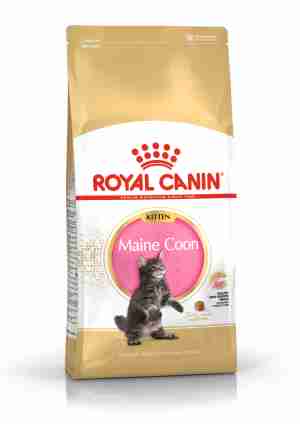 Royal Canin für Maine-Coon-Kätzchen