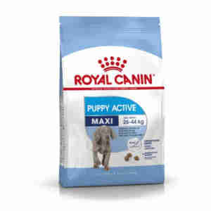 Royal Canin Maxi Junior Active