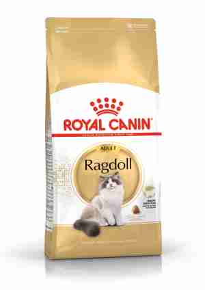 Royal Canin Ragdoll Dry Adult Cat Food