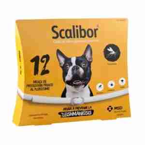 Collier Scalibor - Chien