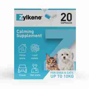 Zylkène Chien et Chat