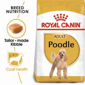 Royal Canin Poodle Adult Hundefutter trocken für Pudel
