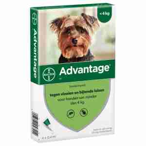 Advantage voor honden (4-10kg)