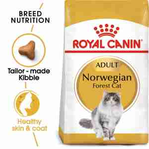 Royal Canin Feline Breed Health Norwegian Forest