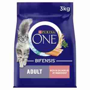 Purina ONE Adult Salmon and Whole Grains