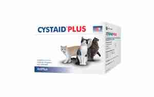 Cystaid für Katzen