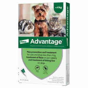 Advantage 40 for Small (less than 4kg) Cats, Dogs, and Rabbits - 4 pipettes