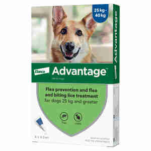 Advantage 400 for Dogs 25kg plus - 4 pipettes