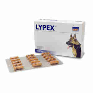 Lypex Kapseln