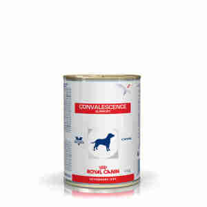Royal Canin Convalescence Support Chien